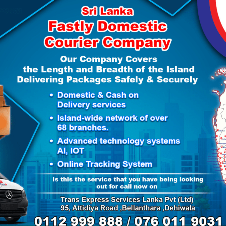 Web Design & Development Agency Promotion Poster (1080 x 1080 px) (3)